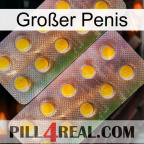 Großer Penis new10